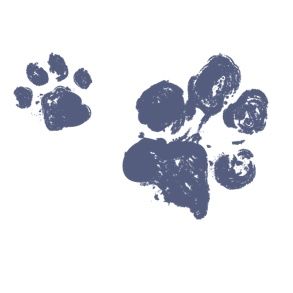 Kitty & Pup Signature
